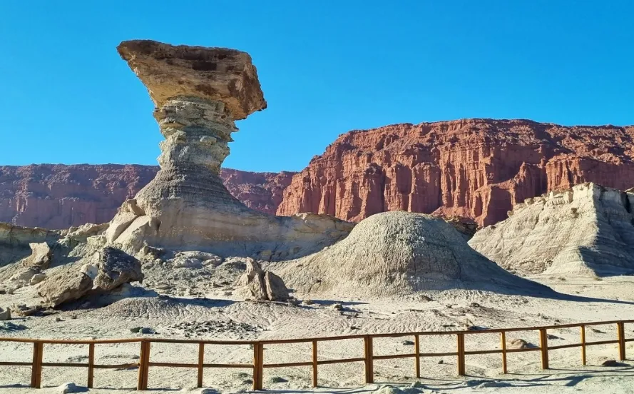 6d9c19a5-e47e-432e-9770-3b4766f4f2d7