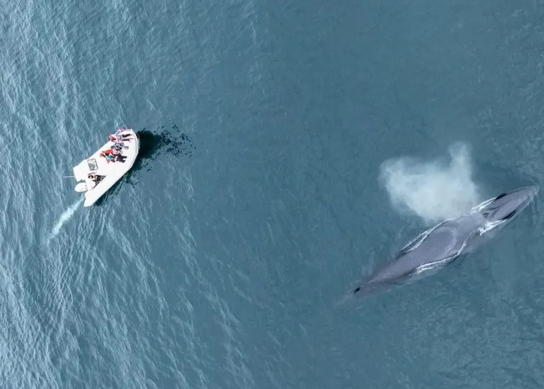 WhatsApp-Image-2024-04-03-at-11.46.54-2-768x7684