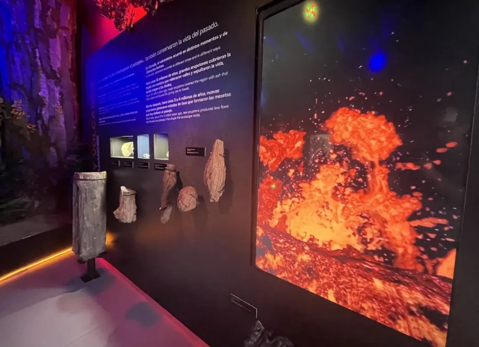 bc22d38f-c673-4e52-8961-3726961d1cdb