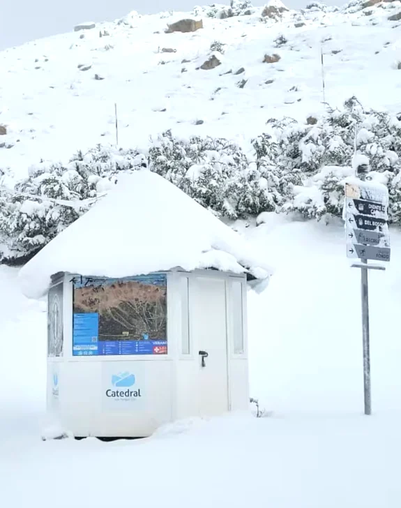 b605769d-4c2b-42a8-82b0-bce3574c3c0d