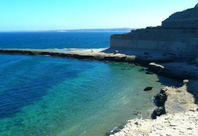 f35cb878-2659-4c06-9061-76682fbda8f4