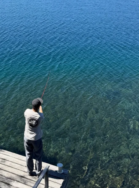 e124c2e0-a3f6-4bf7-b4b1-f82aa03c35f9