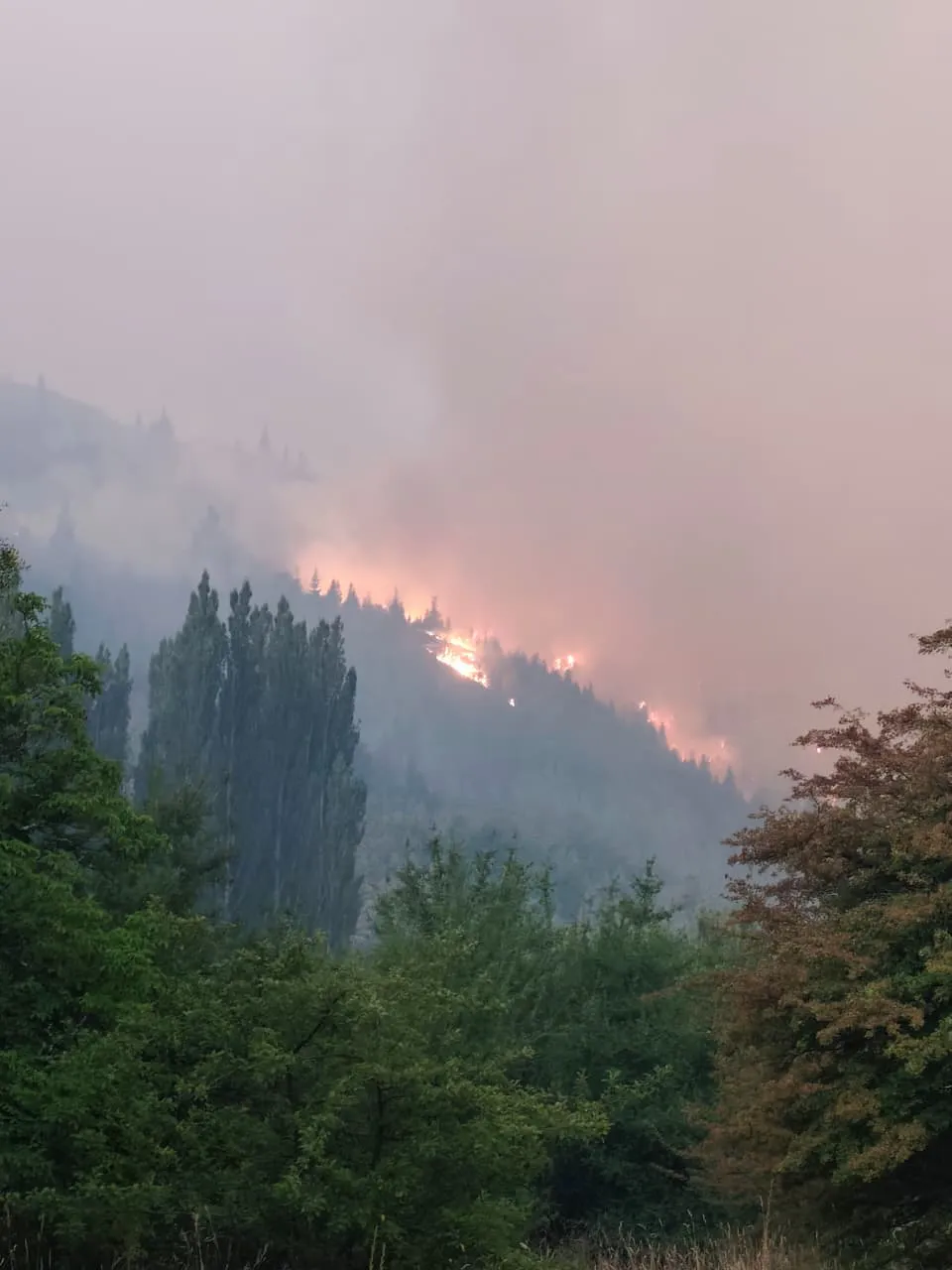 WhatsApp Image 2026-01-14 at 10.31.15 AM