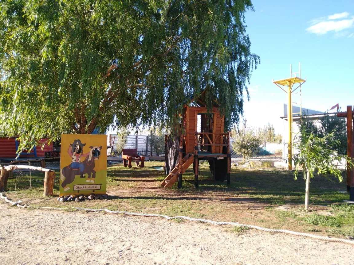 470022615_548461008068572_3688560584777864508_n