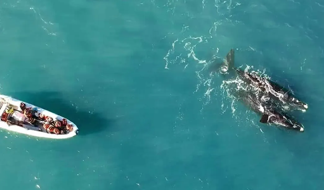 01a38521-abac-4dd8-8773-98fd20754ccf