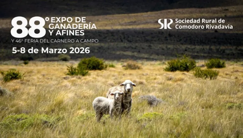 3150df7a-78c2-41d3-bc87-a38307d72137