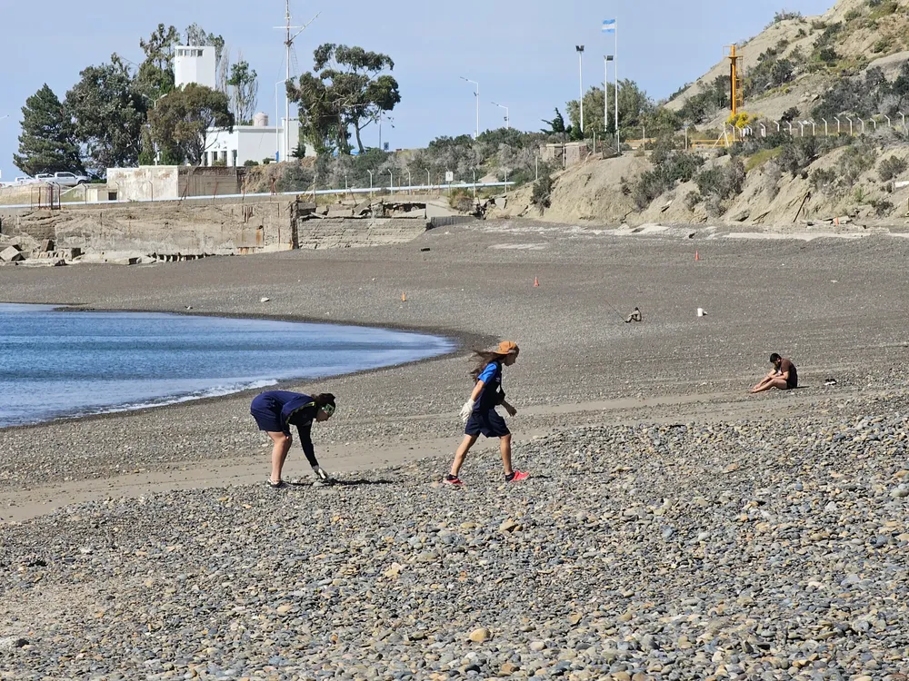 d42e5061-c06f-4ad0-880e-fddf2949da68