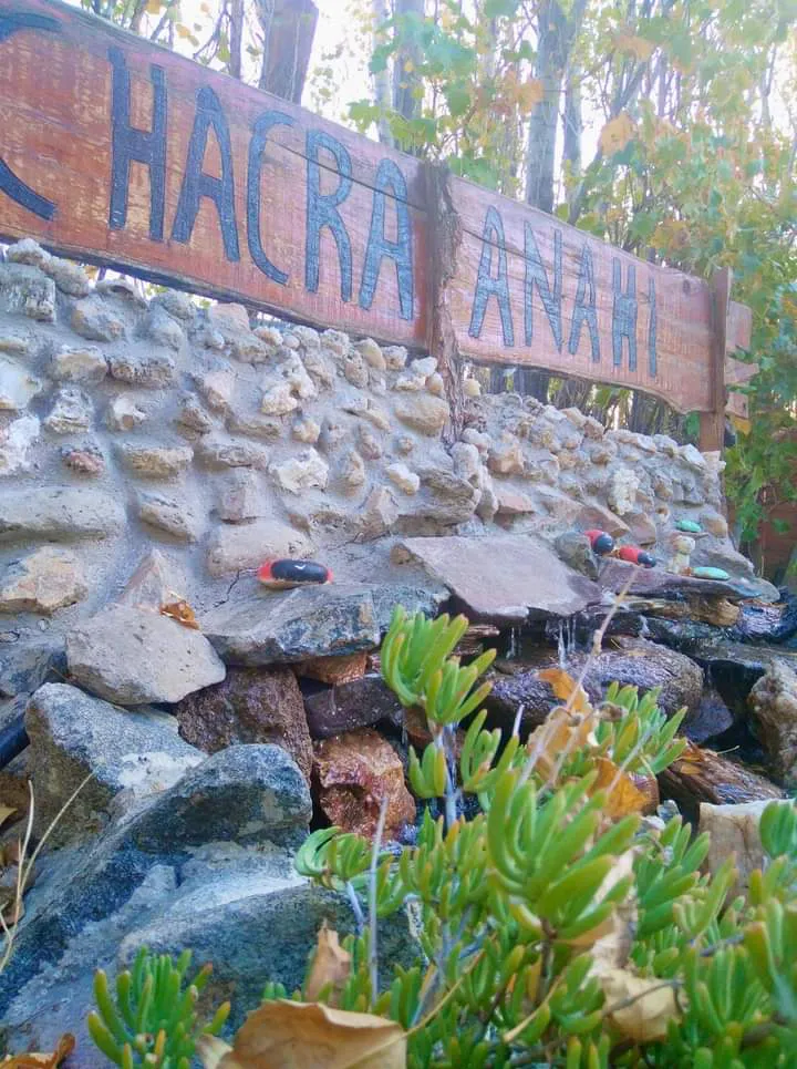 312326143_560429922674987_5043699566095864372_n