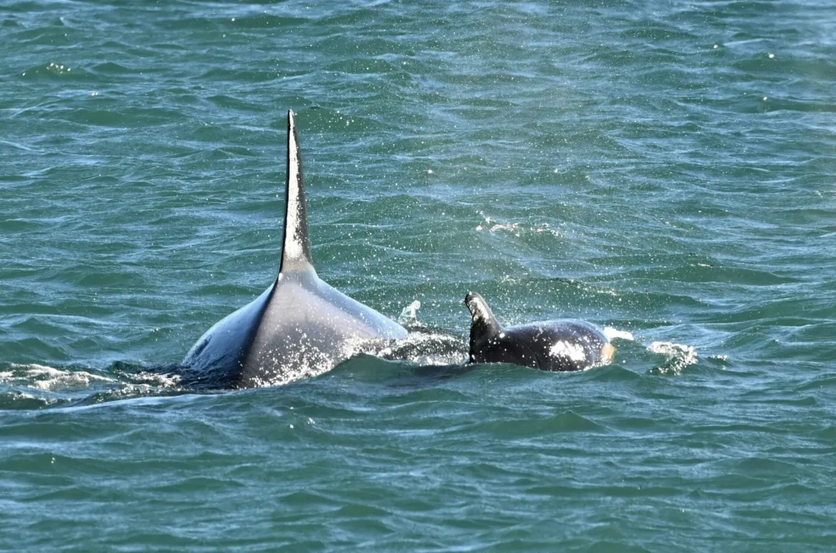 b57c43e9-fda6-41f8-b89a-7f7923634ccf