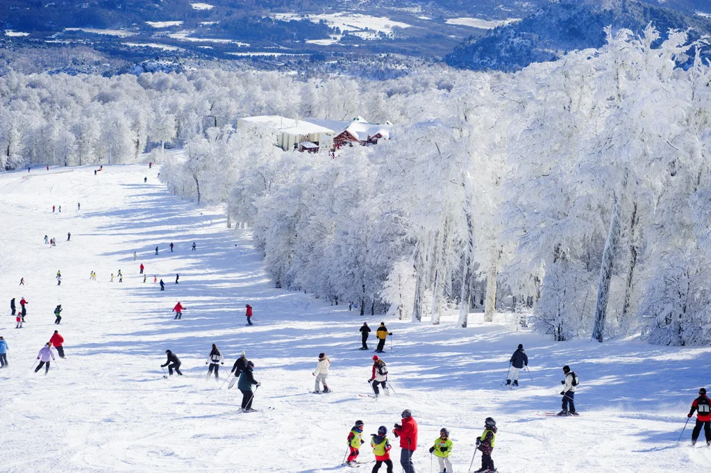 Chapelco-Pista