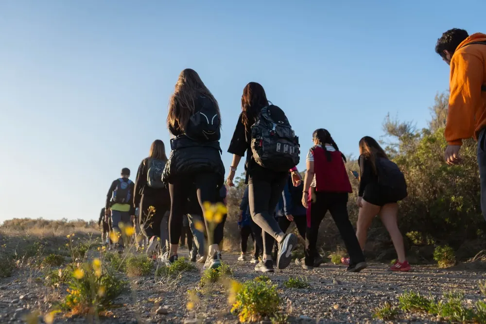 9faf2ec3-f7f0-443d-ad47-c4864d4a5dfe