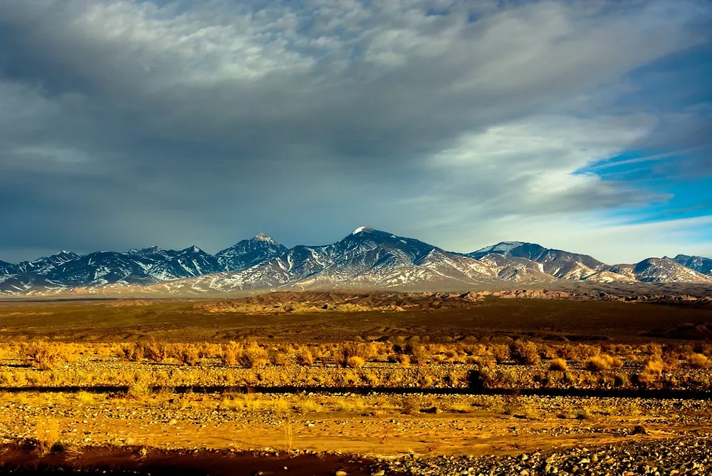 4c919a_bfeb529db18843d499cdfbb452555c43~mv2