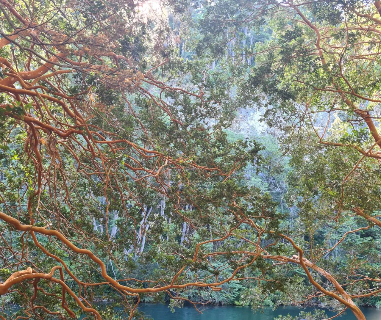 WhatsApp Image 2025-02-11 at 7.49.26 PM