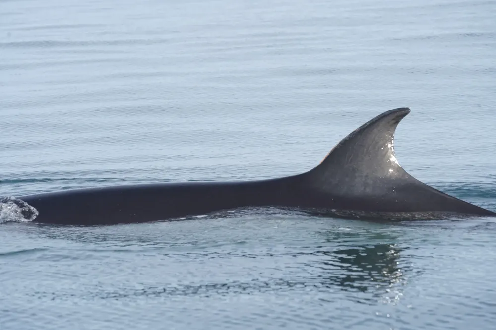 WhatsApp Image 2025-06-30 at 8.56.02 PM