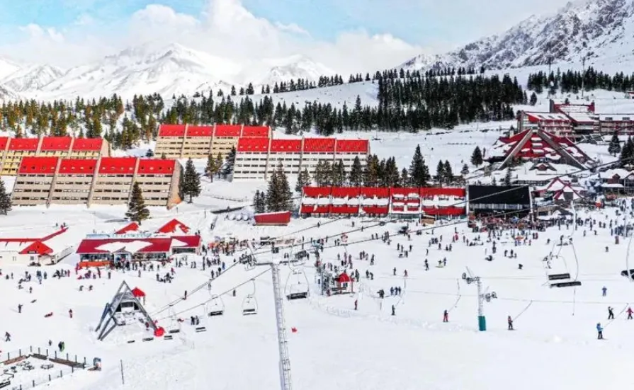 d2b68426-8f34-4cab-90e9-08598a14925e