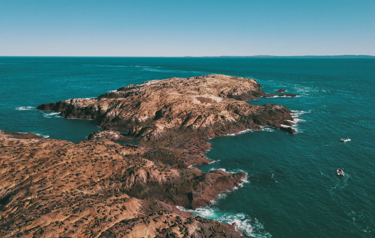 0dfd3b49-bd46-465b-9741-9ad8f738ecbb