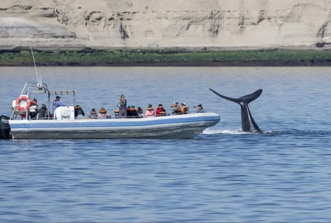 SmartSelect_20240925_094829_Facebook