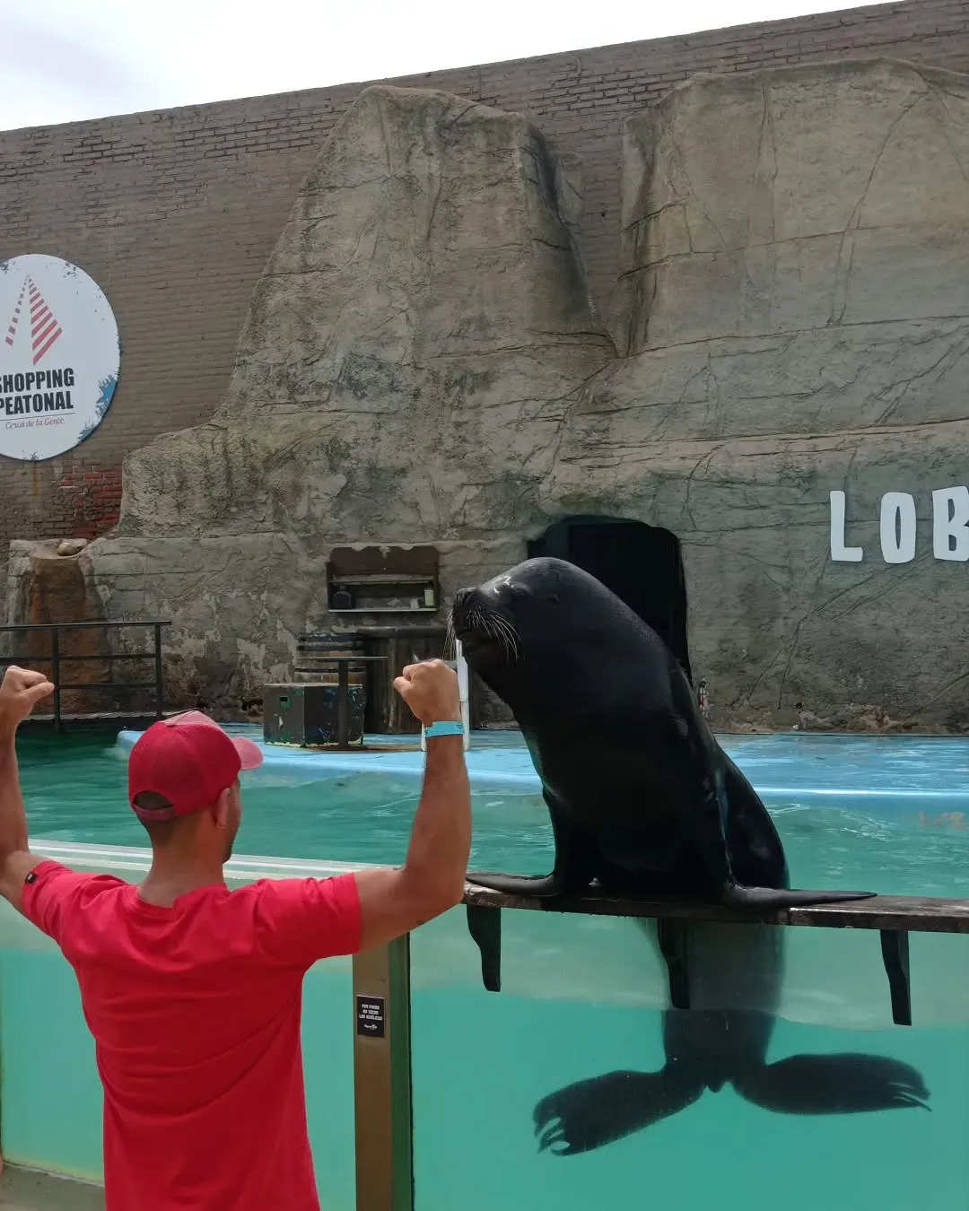 SaveClip.App_320810952_476341707764856_1554333732886086599_n