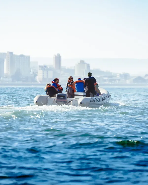 39fc7861-99be-44fc-aff1-1b8d8fa151a3