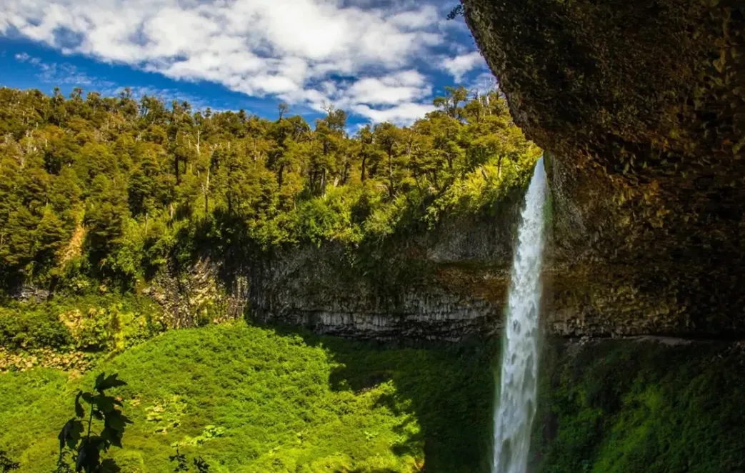 6132a02a-1f98-4728-bef7-ad9179f72cb2