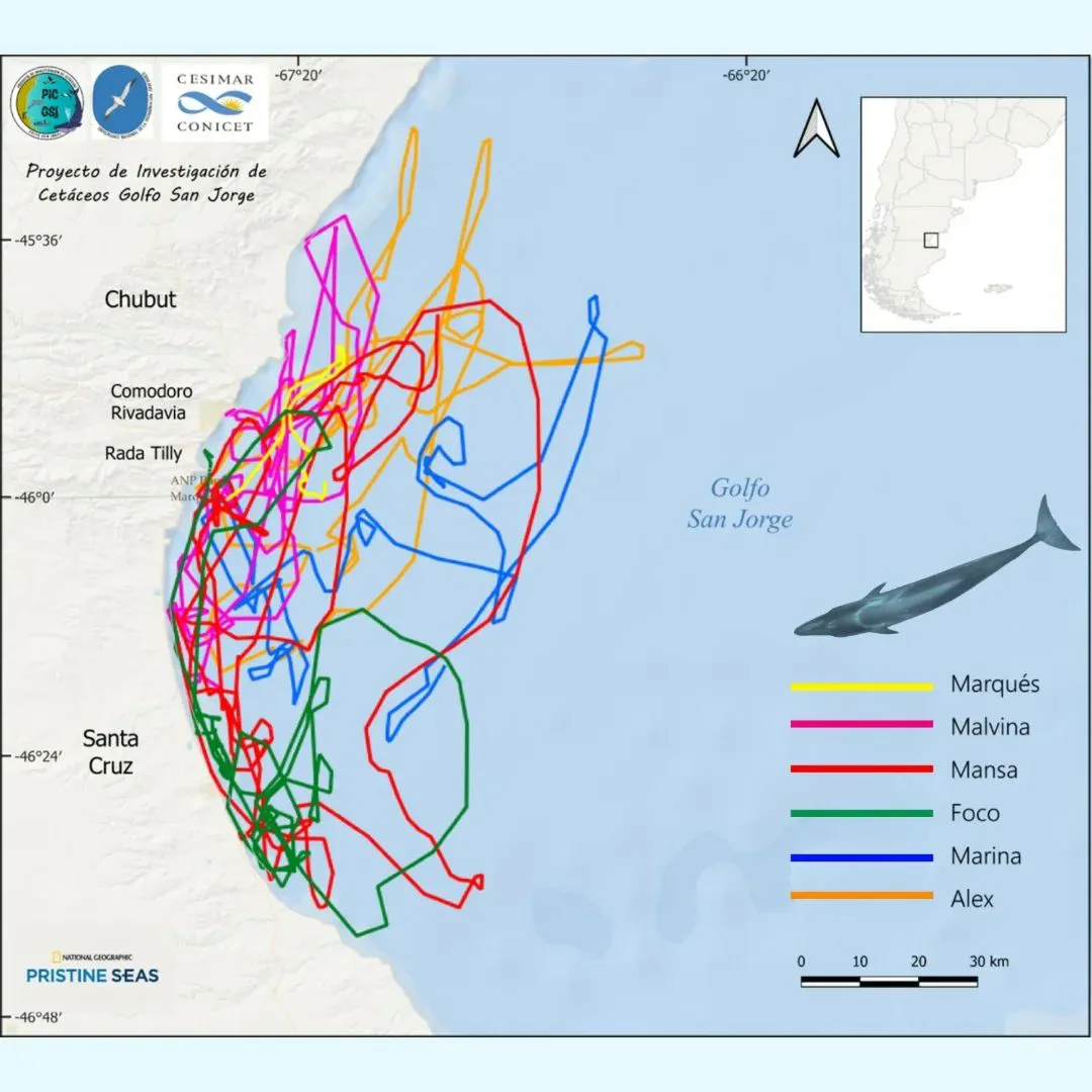 SaveClip.App_464779609_1483440722309317_4639168380887243560_n