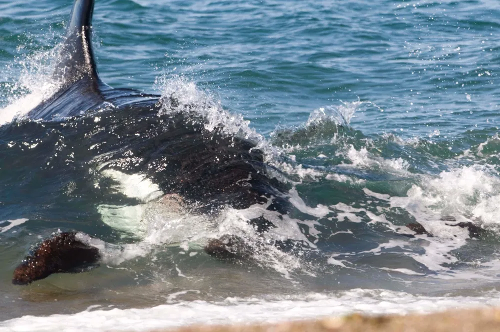 WhatsApp-Image-2023-03-18-at-11.45.17