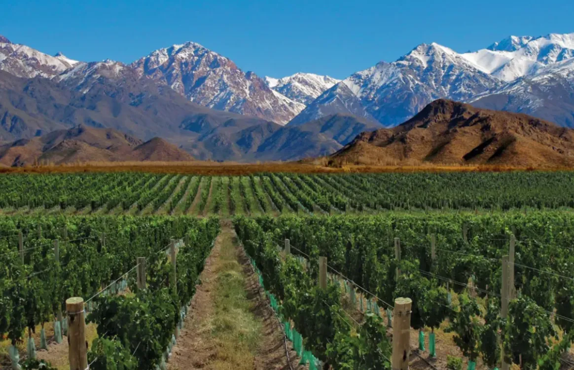 b0b48256-bc91-472b-8915-b5f9354731a2