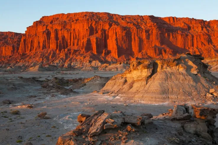 7fdd197a-6a67-439e-a298-4cbe111f11af