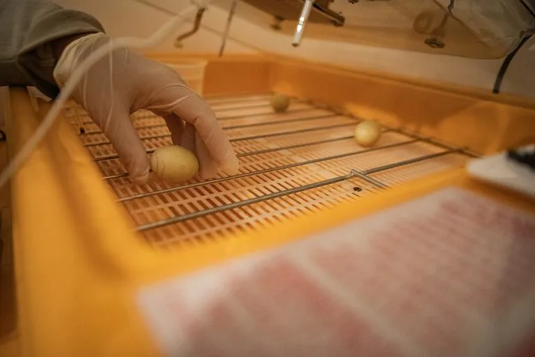 46520cf549dec401827c5923f57ecf1f