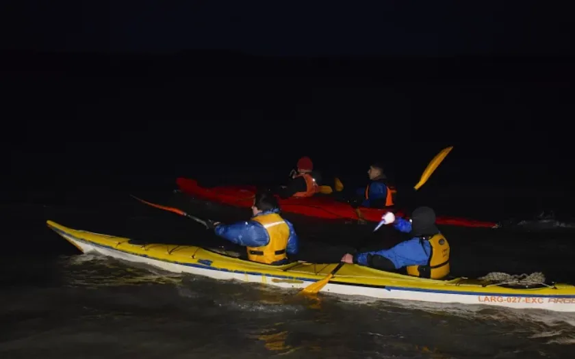 98ea8ee6-baab-45c8-9b07-bce96e184615