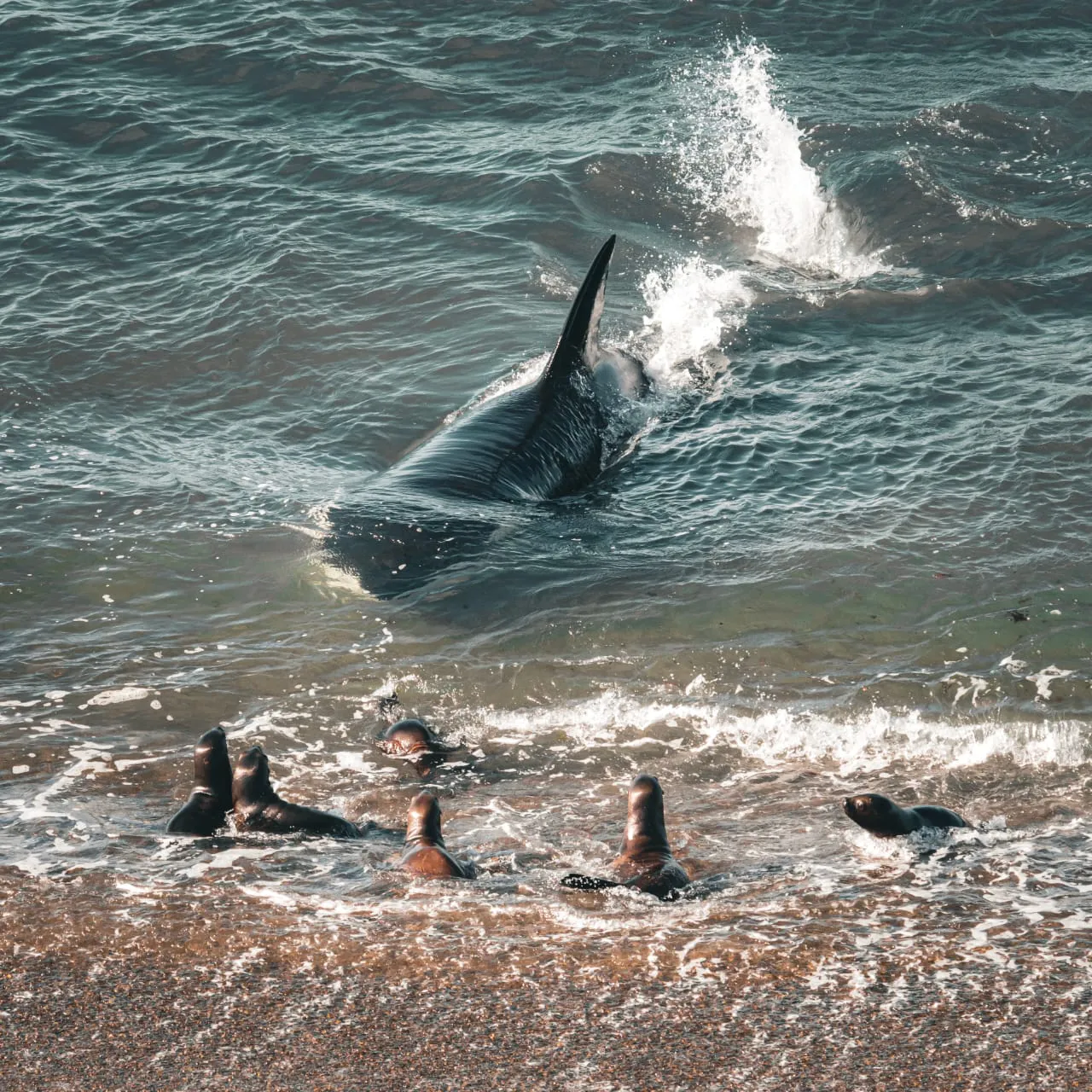 466346478_1072673394867091_1641168073962760940_n