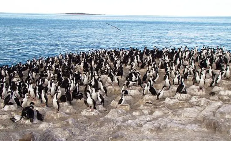 7ae5ba44-10a1-4ddb-86de-376456adb5fa