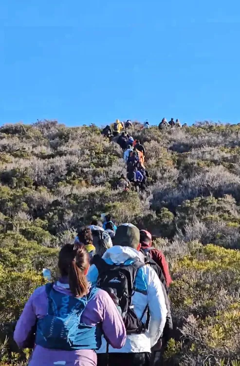 WhatsApp Image 2025-11-06 at 1.07.56 PM