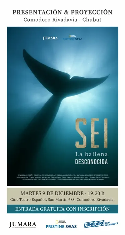 WhatsApp Image 2025-11-27 at 11.25.34 AM