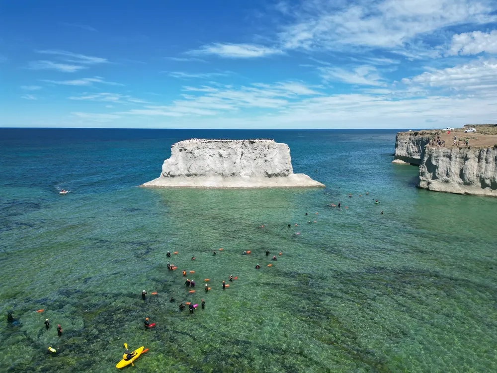 WhatsApp Image 2025-01-28 at 11.38.49 AM