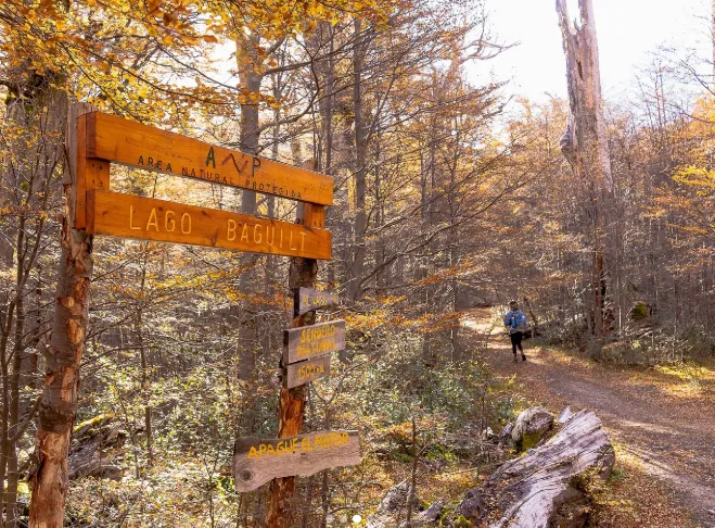 044f5b13-25a3-4b15-9bc4-a79fe42bf724