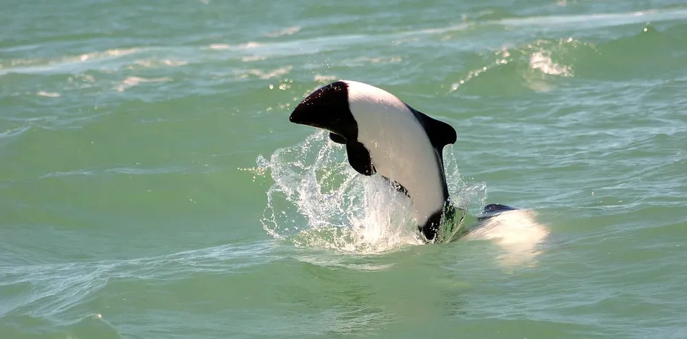 f28aa37d-b766-4ee4-94b8-ef23d86cf4c6