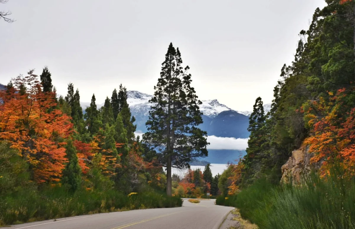 09160ff1-f8d8-4841-9205-c996f6ccacea