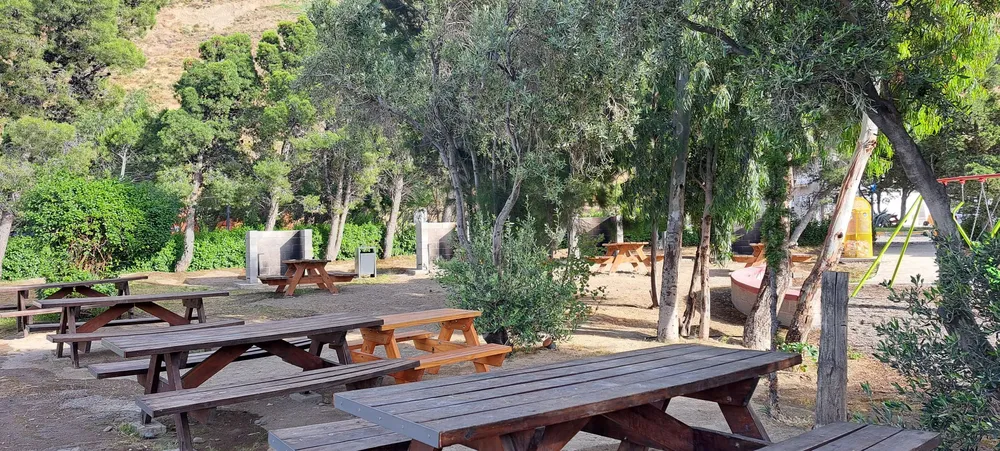 515499548_10229667352208149_6906652591216373147_n