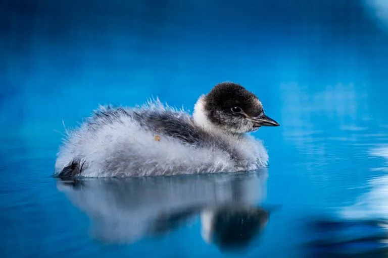 f29751bfbf9ed1bff37f6e9c73029995