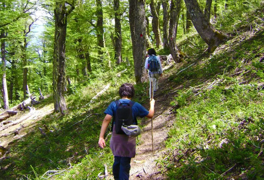 3002606b-1ba9-421f-b9fe-bee25ab2e43d