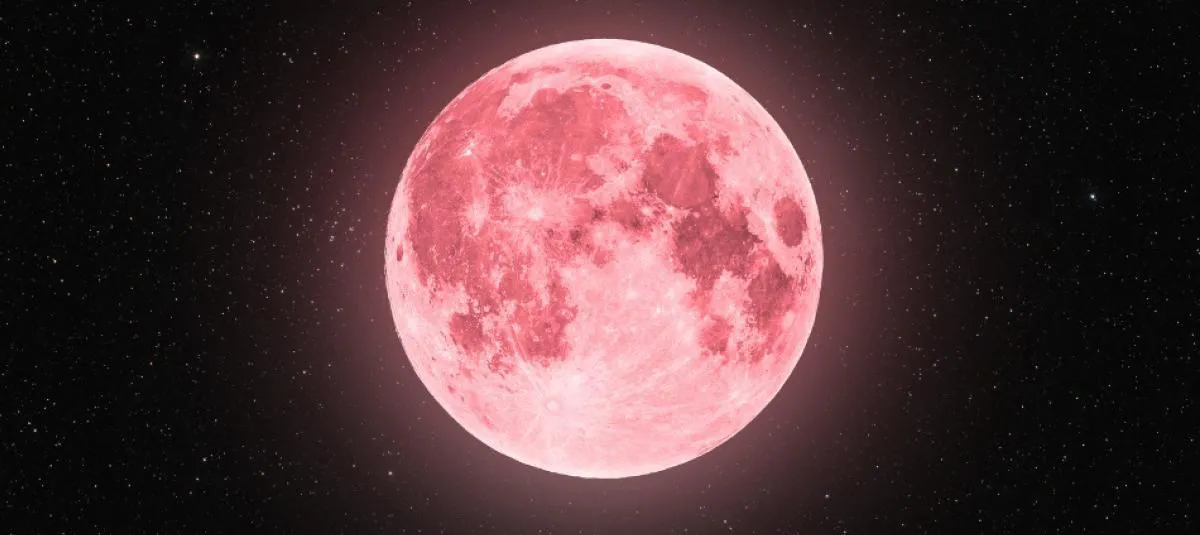 6675c31c1bff7.r_d.600-300