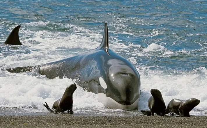 f4ccc5db-ec93-4f4e-ab04-c1bd60af1bbd