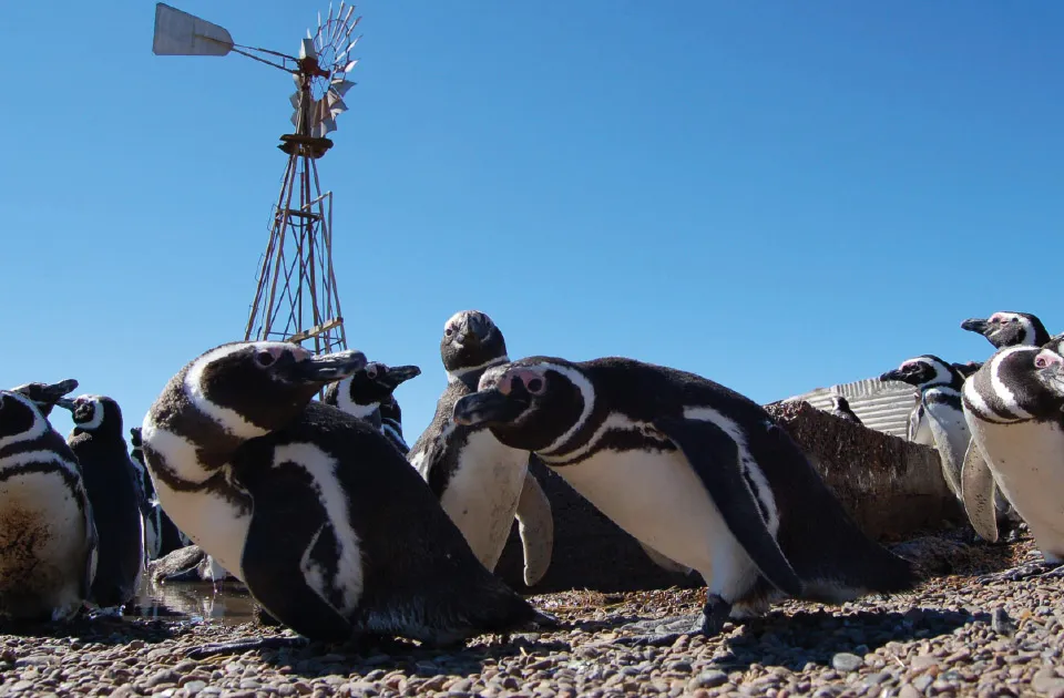 puntatombo-argentina-vision-04