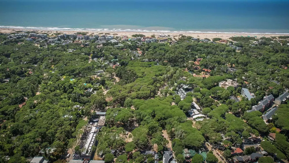 5fc60b_7898d1fb94ae42a293c81d21e945a1c0~mv2