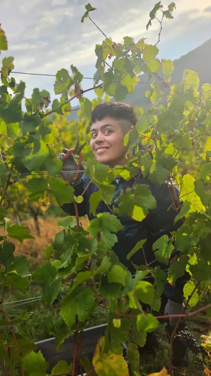 481583830_1761986014530441_7958691186086458645_n