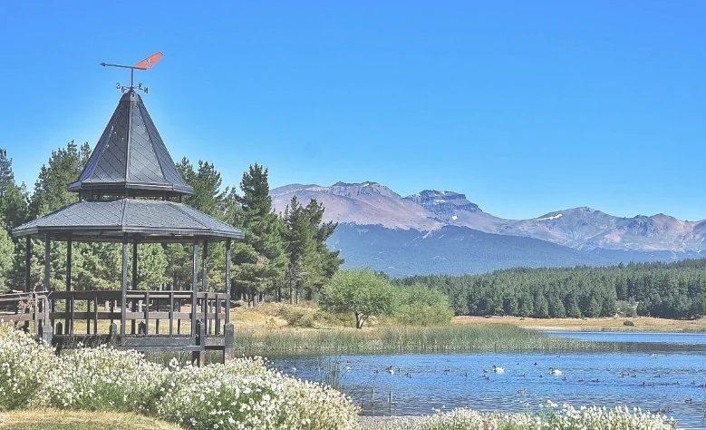 7f59f88b-6477-4724-b35c-8ff6cb524119