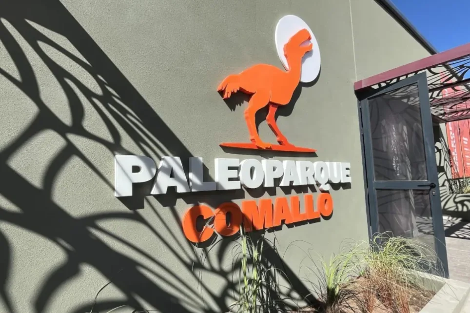 7cf686ae-029c-4eb1-ac50-3e9006ebd3d4