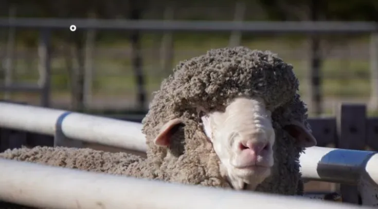 78871d6a-24e3-4e1a-a5fb-3492d1b349c9