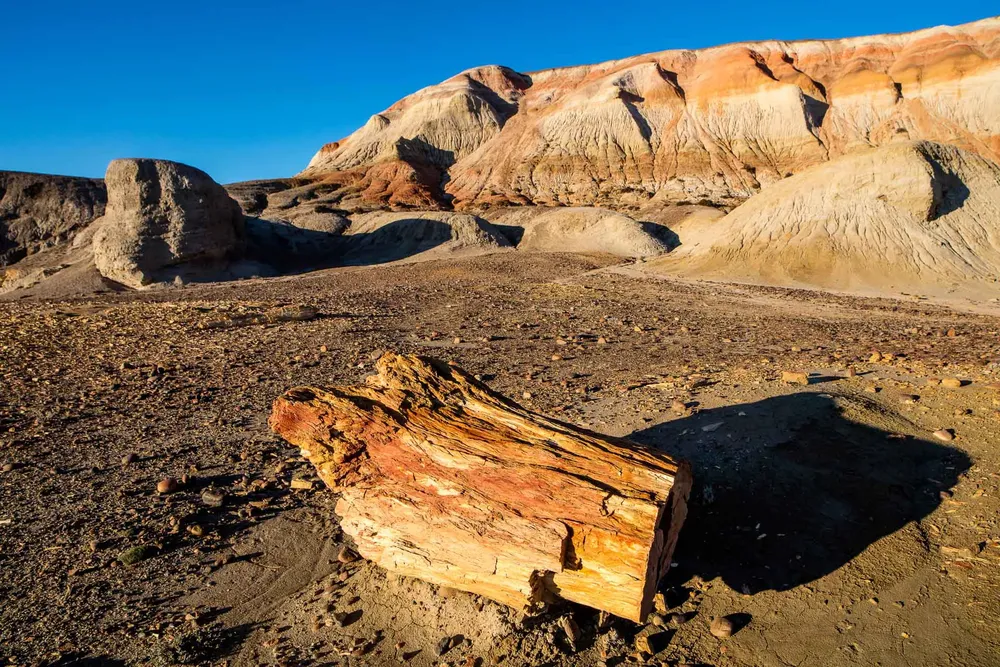 95f9a556-5d99-48f5-9de3-8d9de4473819